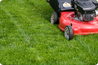 Lawn Mowing Maple Valley