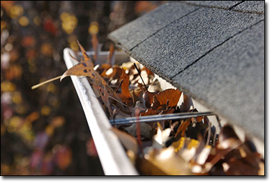 gutter cleaning maple valley landscaping