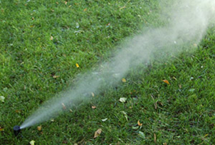 Fall Sprinkler Blowout Maple Valley WA