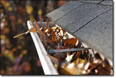 Gutter Cleaning From Maple Valley Landscaping