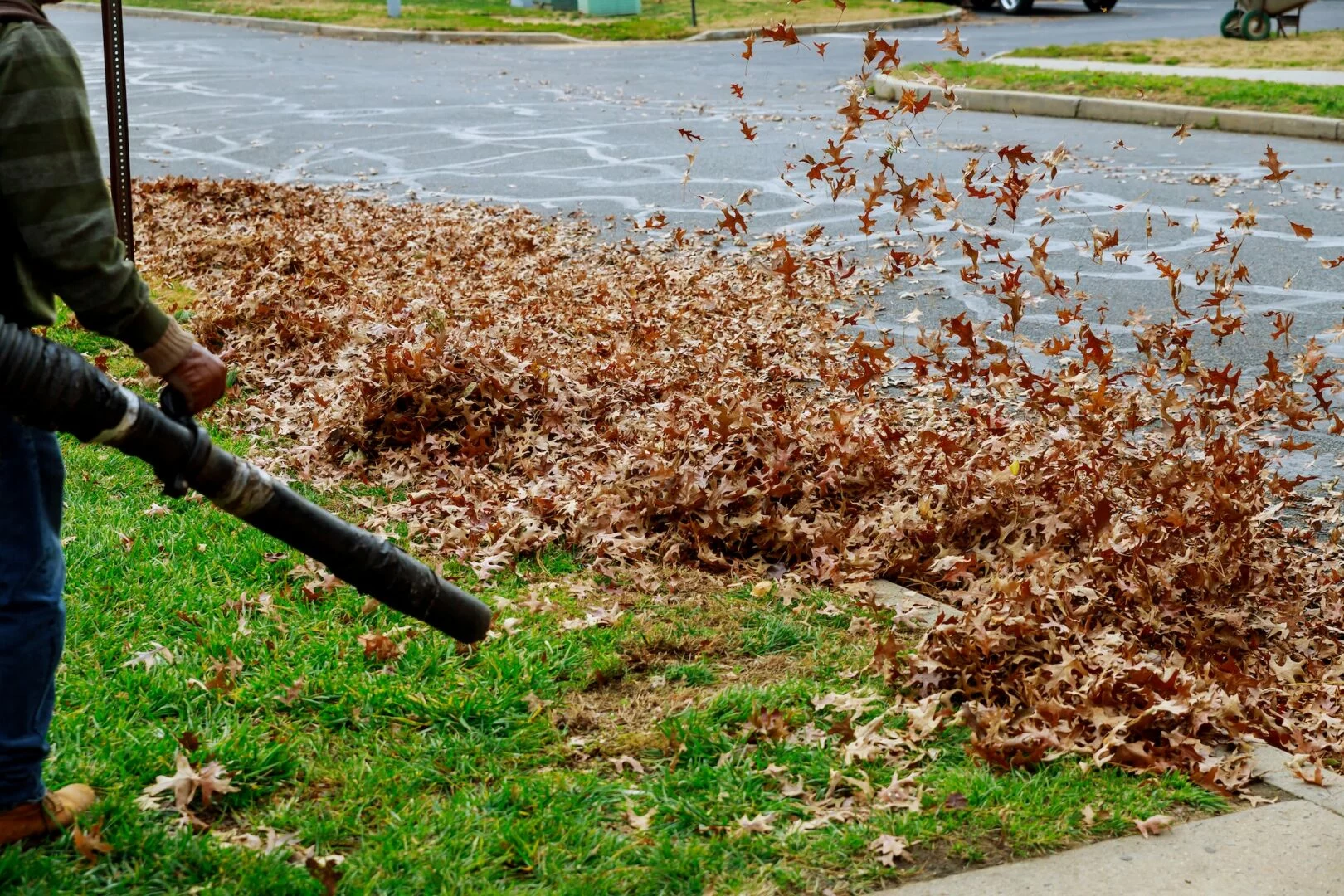Cleaning up a yard in the fall in Maple Valley WA