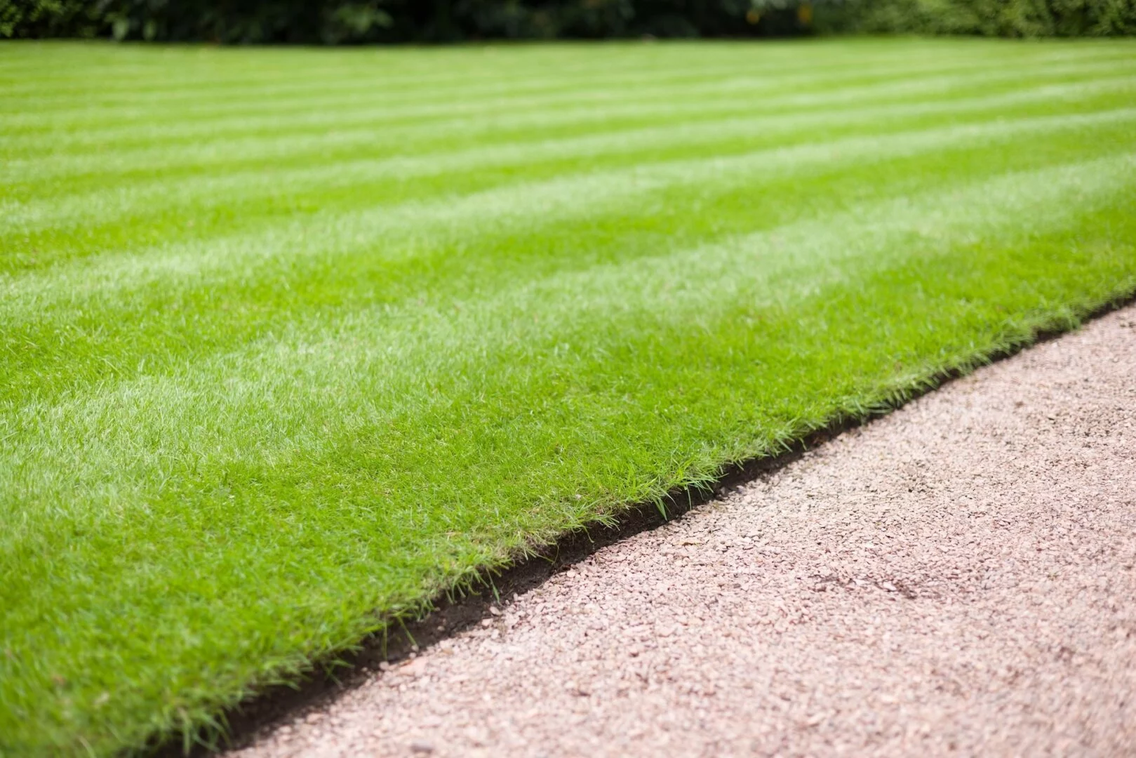 Lawn edging service