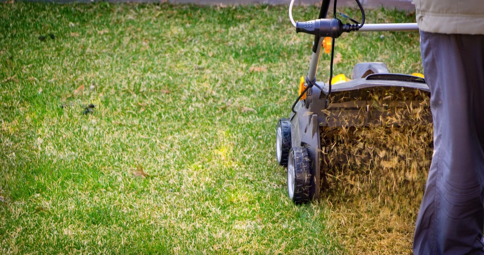 Thatching a yard in Maple Valley WA