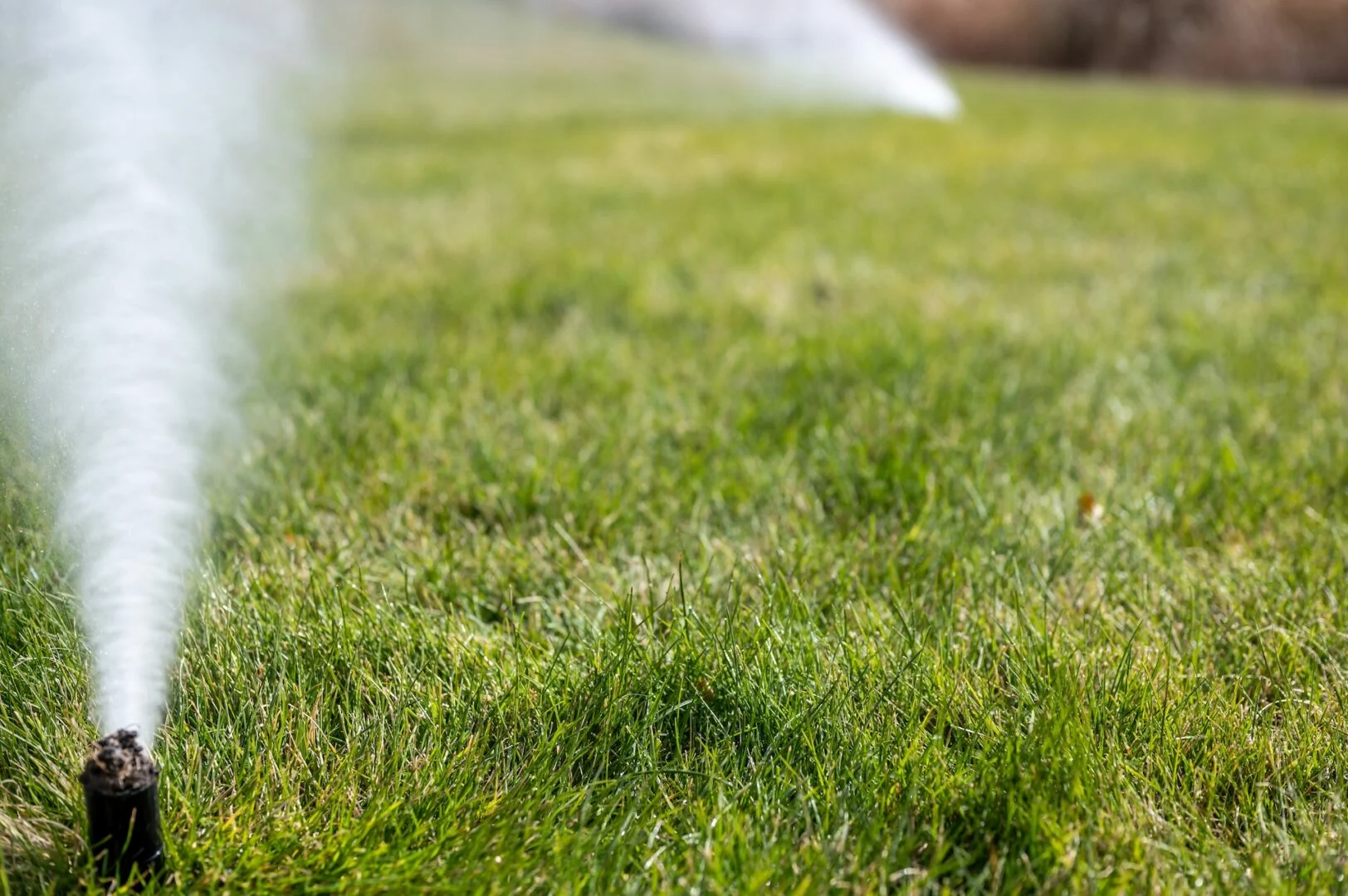 sprinkler blowout service in Maple Valley WA